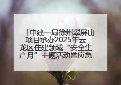 中建一局徐州翠屏山项目承办2025年云龙区住建领域“安全生产月”主题活动暨应急救援演练观摩会